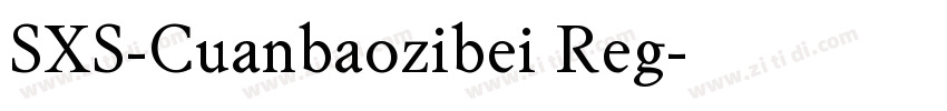 SXS-Cuanbaozibei Reg字体转换